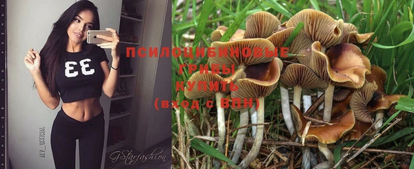дурь Абдулино