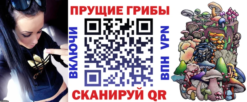 Псилоцибиновые грибы прущие грибы  Южа 